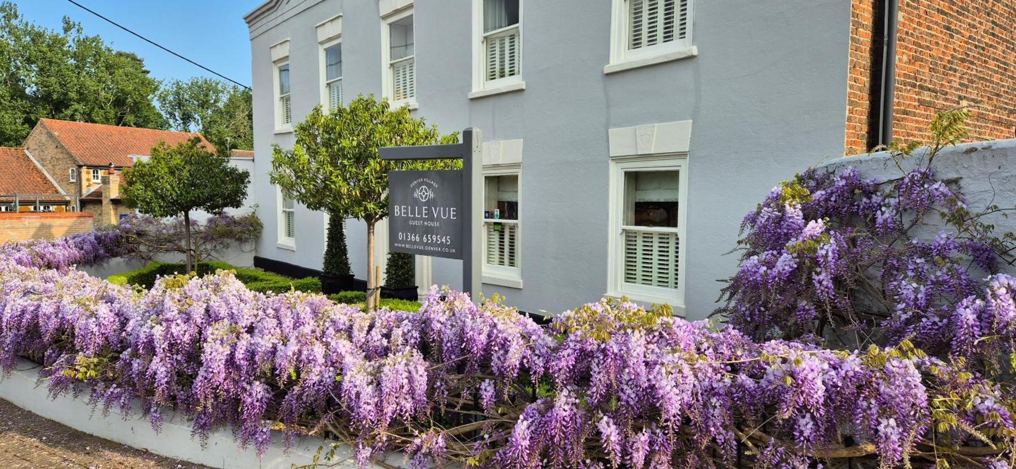 Belle Vue Guest House Denver ภายนอก รูปภาพ